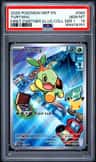Turtwig