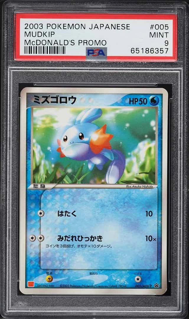 Mudkip
