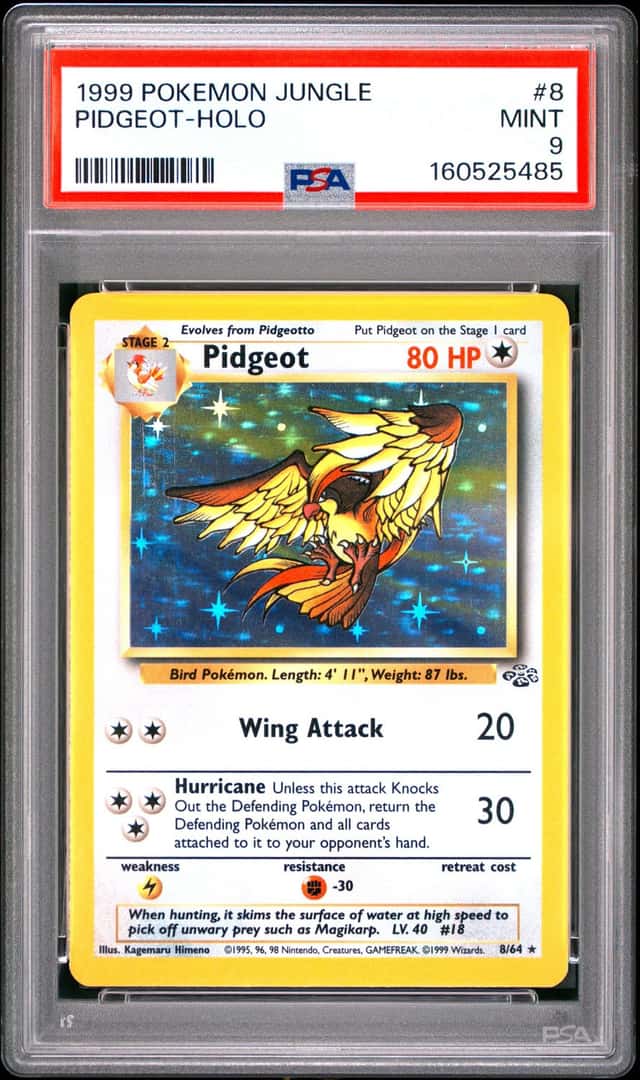 Pidgeot