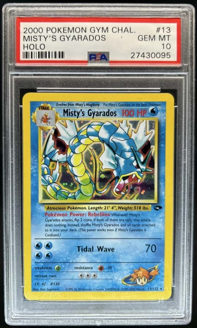 Misty's Gyarados