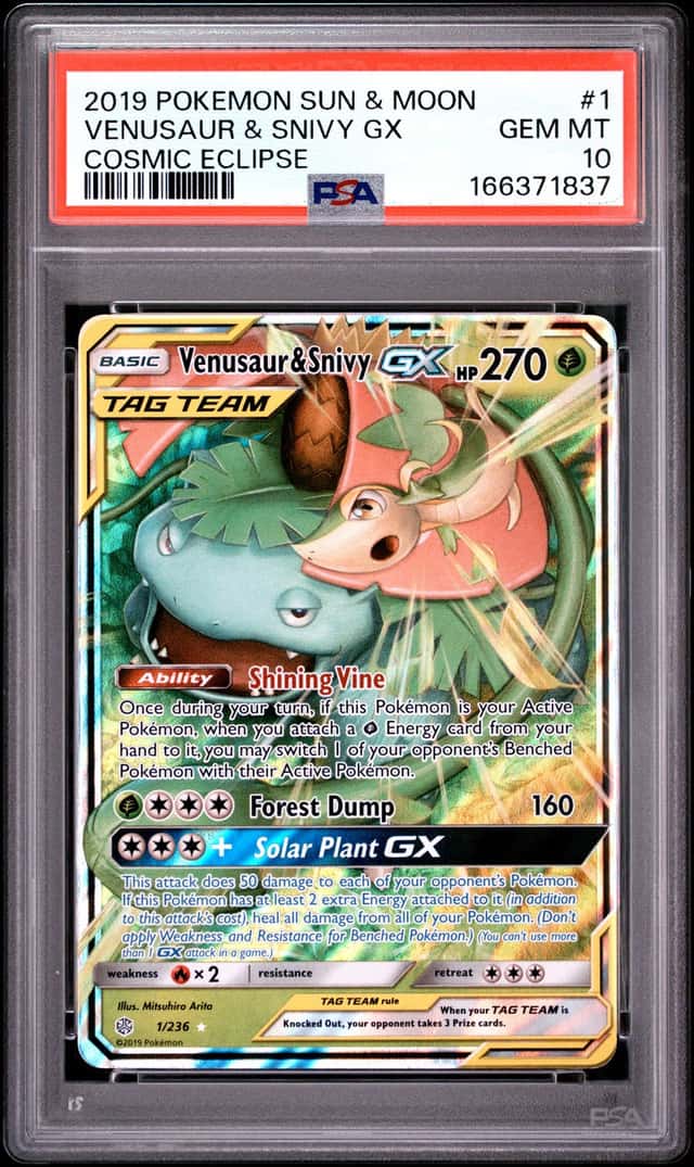 Venusaur & Snivy GX