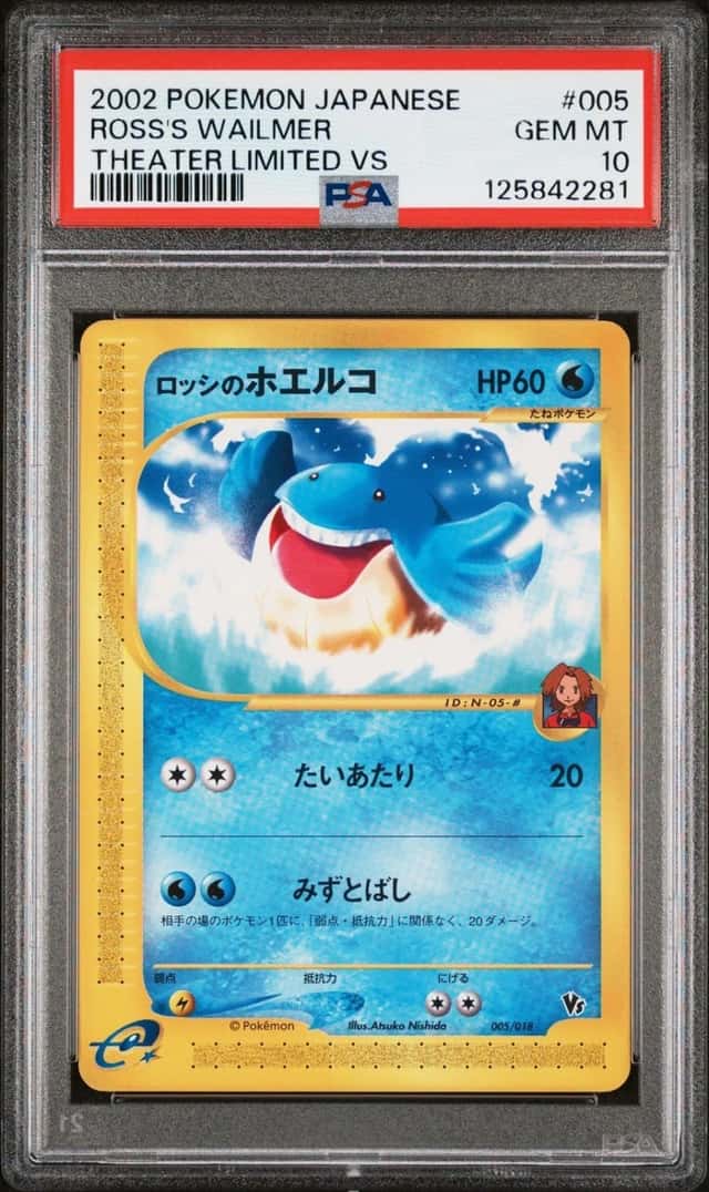 Ross's Wailmer