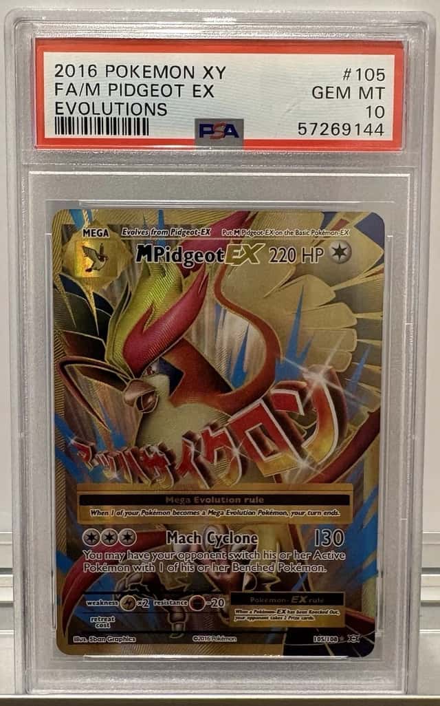 M Pidgeot EX