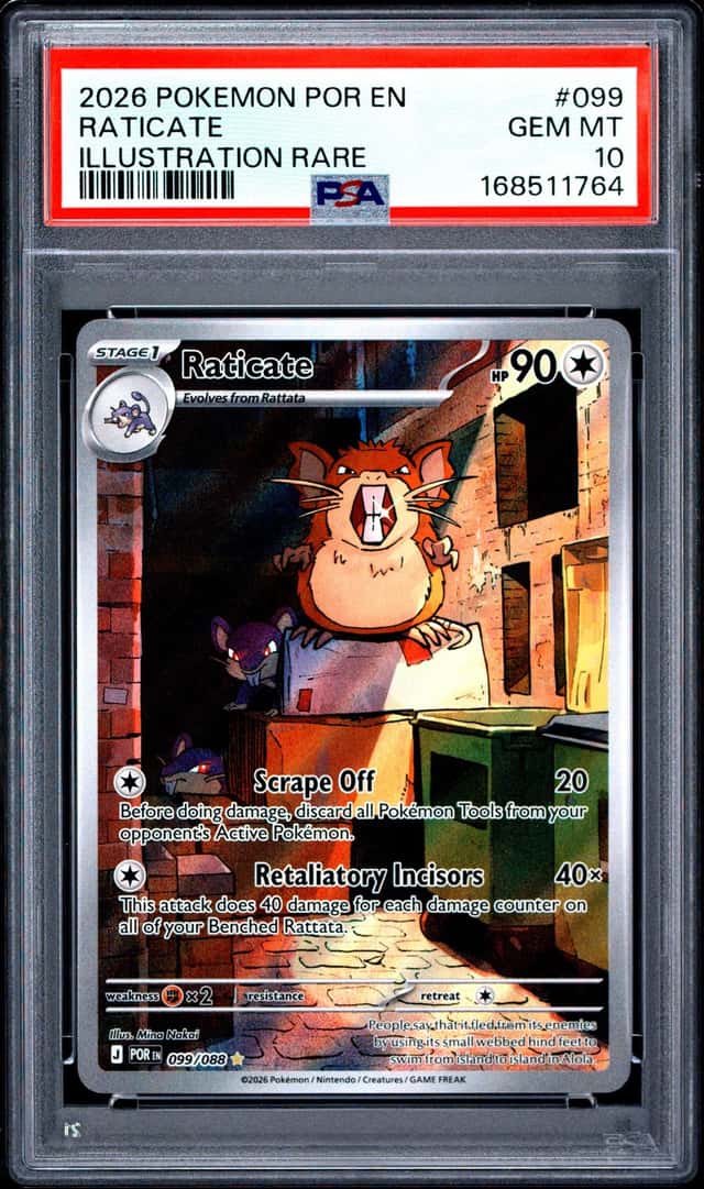 Raticate