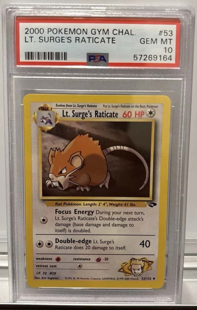 Lt. Surge's Raticate