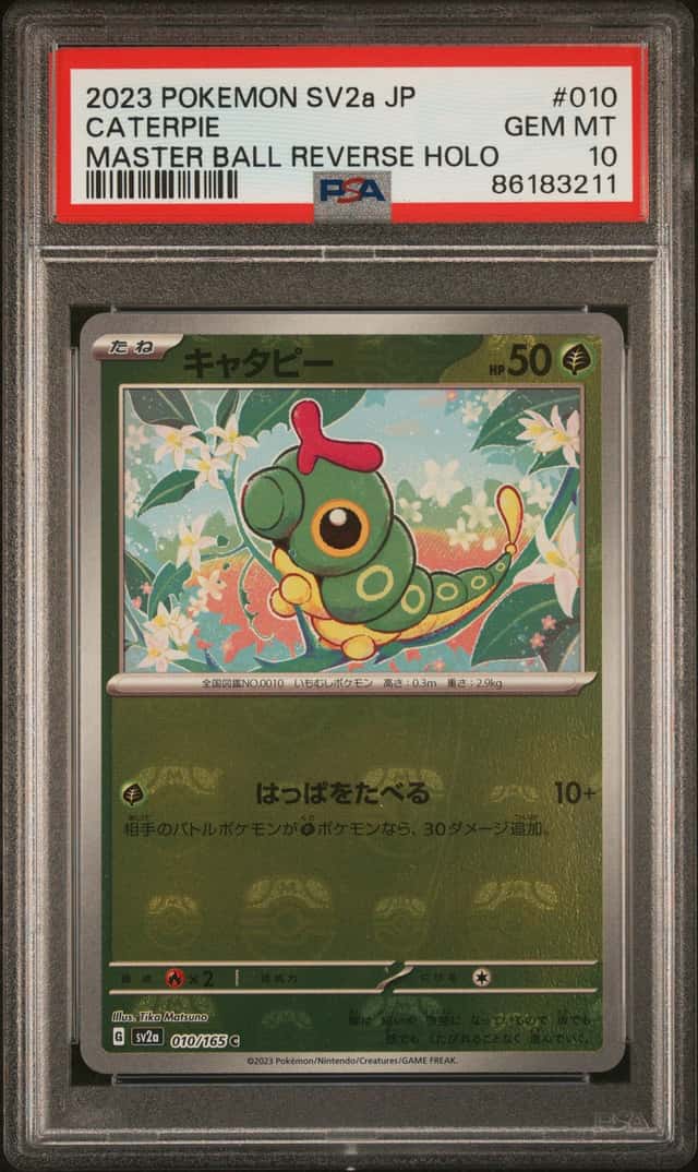Caterpie