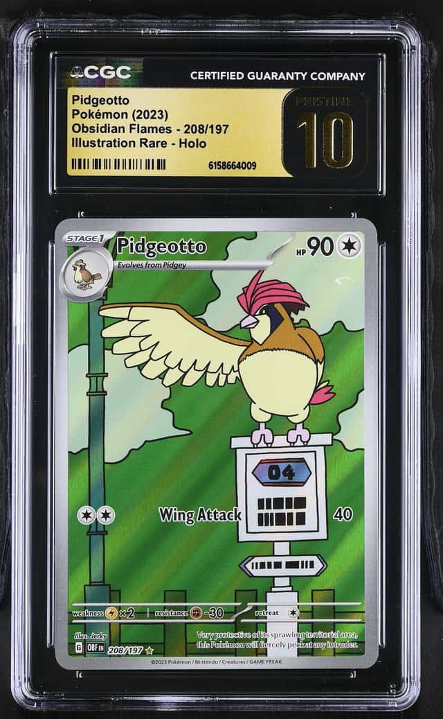 Pidgeotto