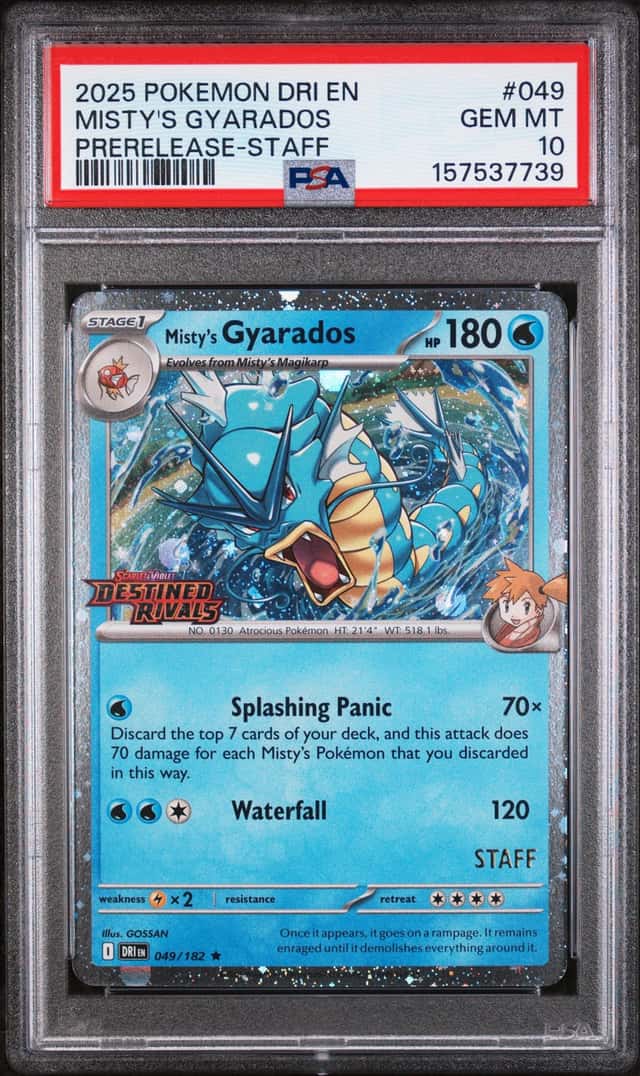 Misty's Gyarados