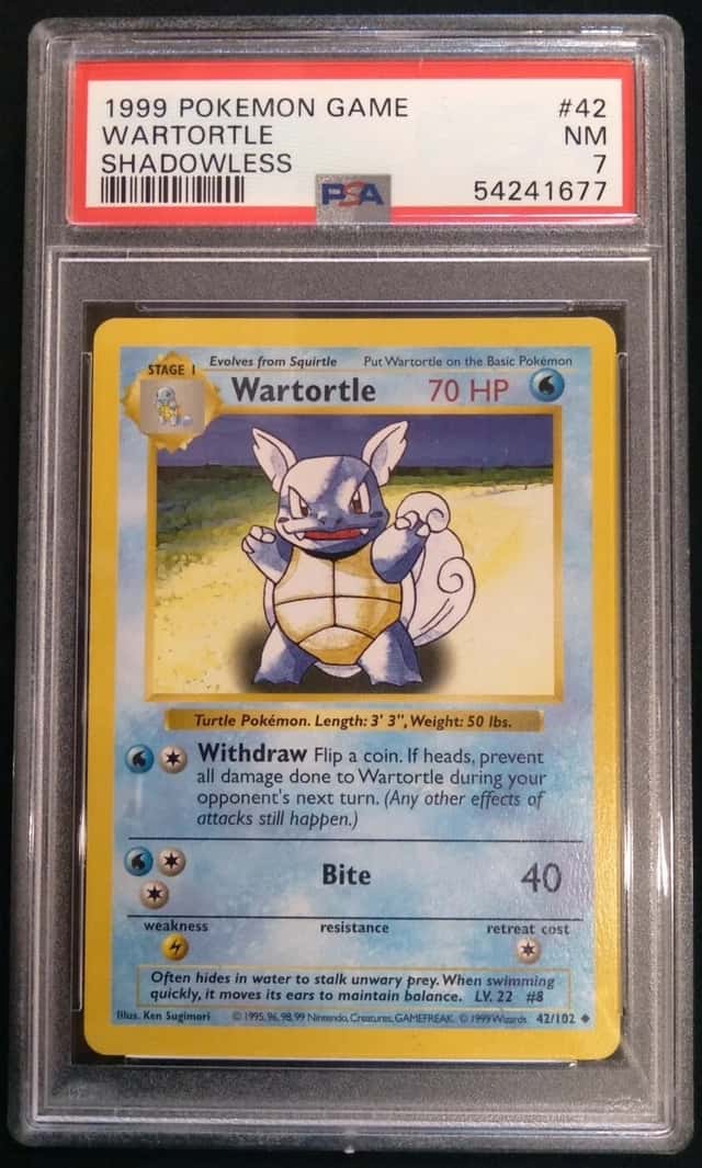 Wartortle