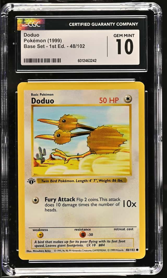 Doduo