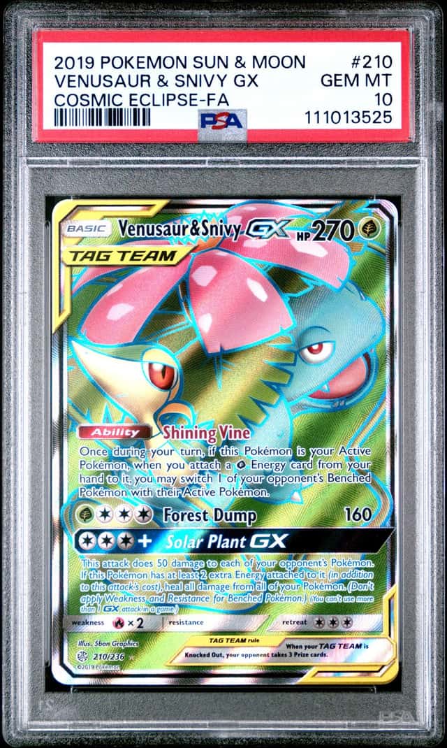 Venusaur & Snivy GX