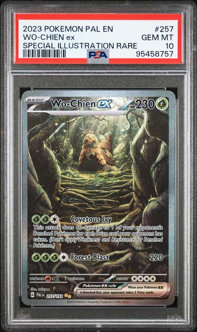 WO-CHIEN ex