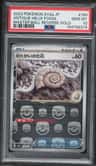 Antique Helix Fossil