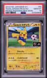 Team Japan'S Pikachu