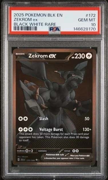 ZEKROM ex