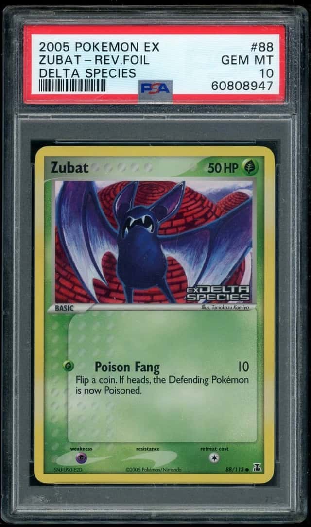 Zubat