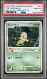 Turtwig