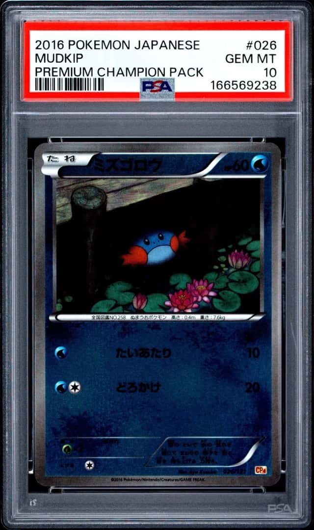 Mudkip
