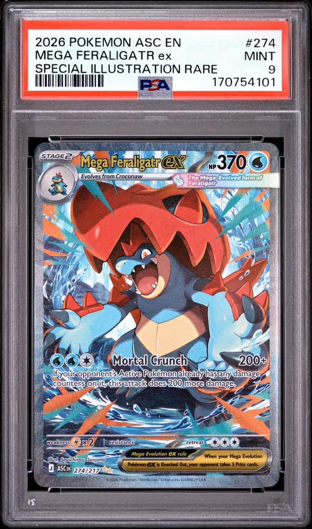 MEGA FERALIGATR ex