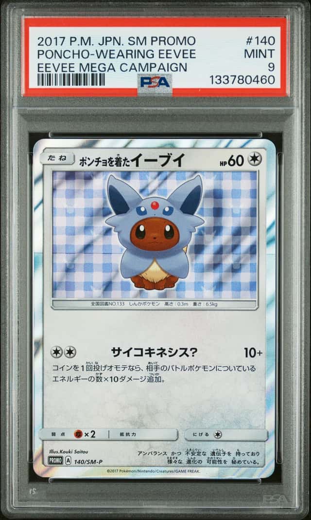 Poncho-Wearing Eevee