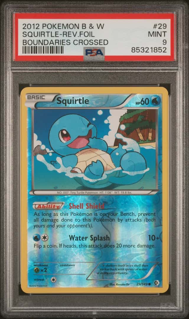 Squirtle