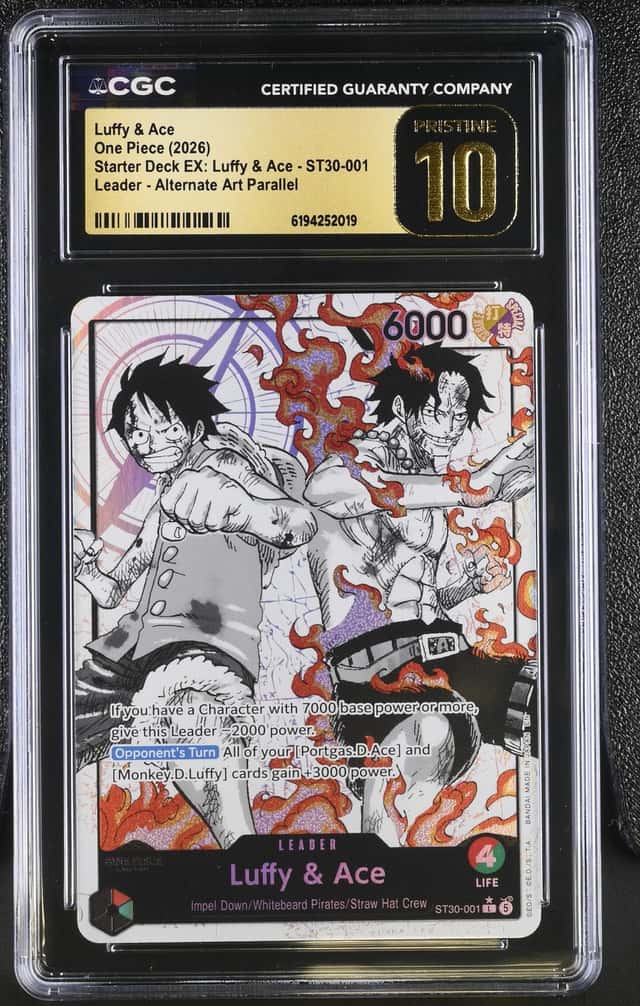 Luffy & Ace