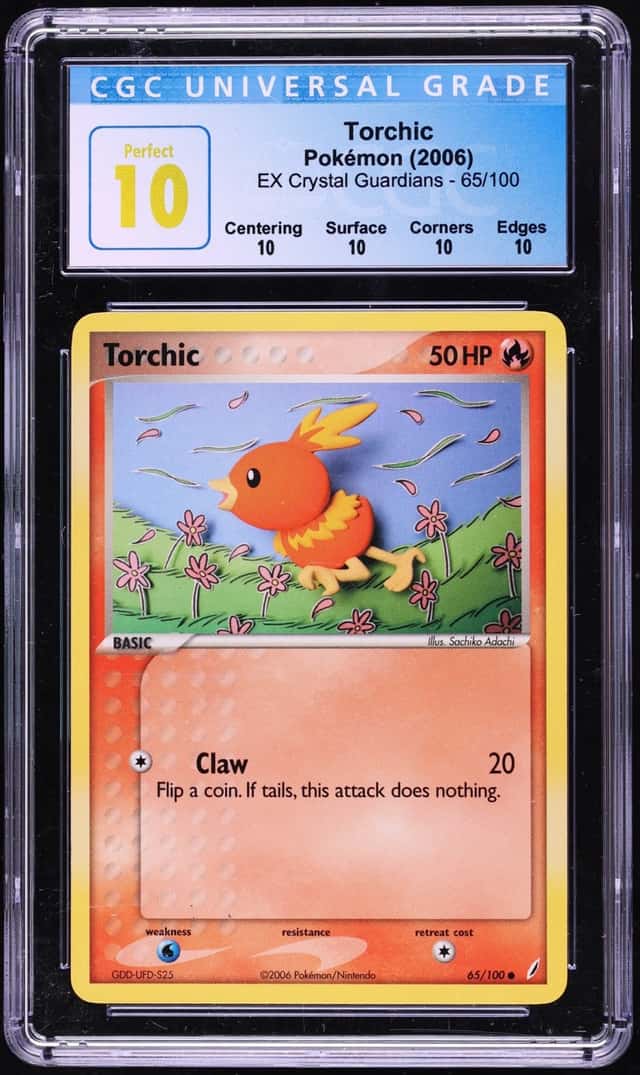 Torchic