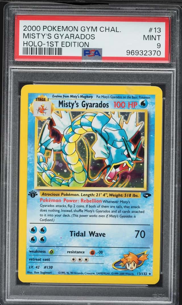 Misty's Gyarados