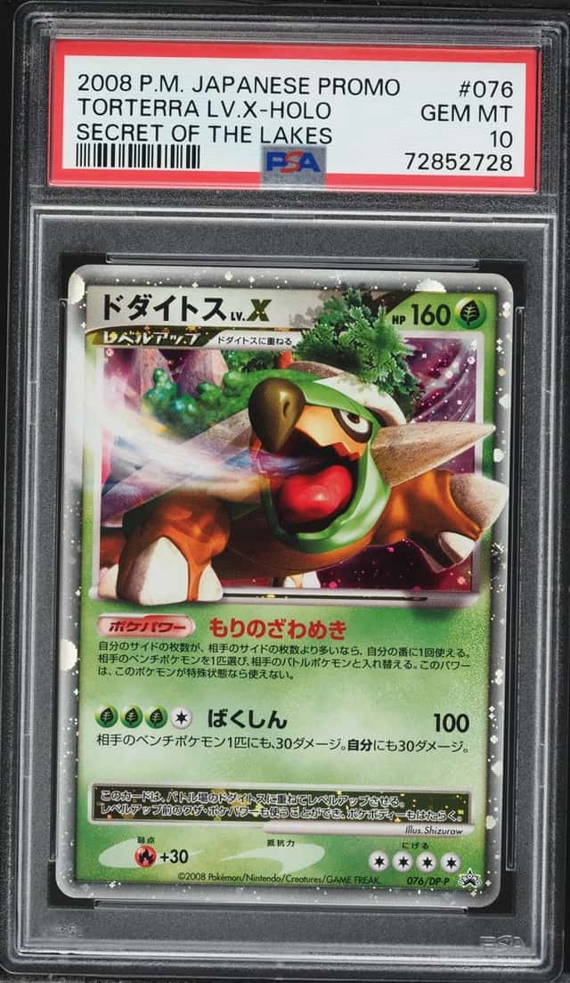 Torterra Lv X