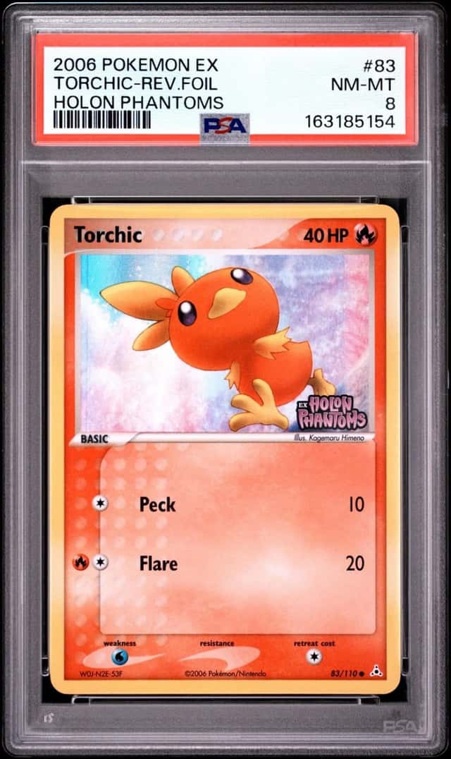 Torchic