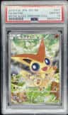 Victini