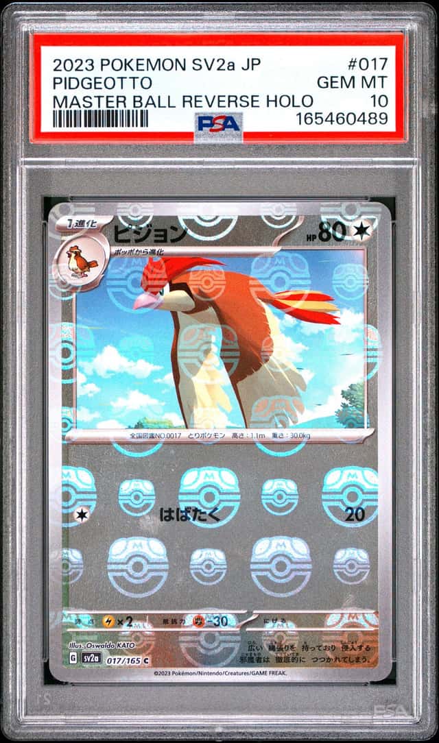 Pidgeotto