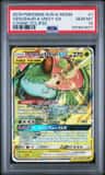 Venusaur & Snivy Gx