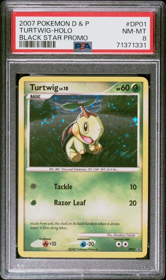 Turtwig