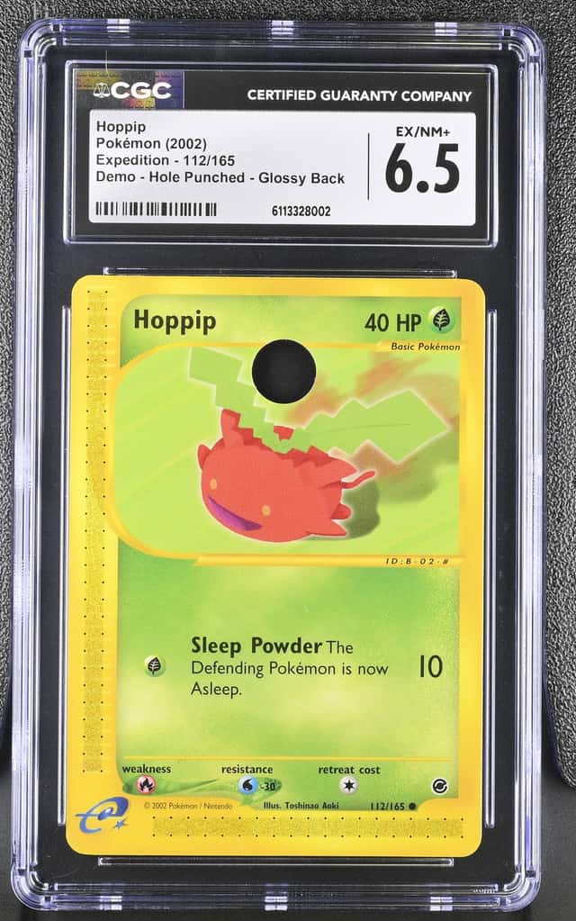 Hoppip