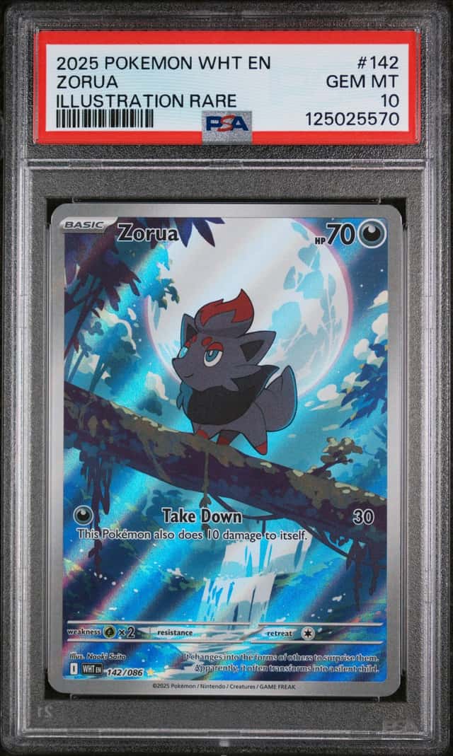 Zorua