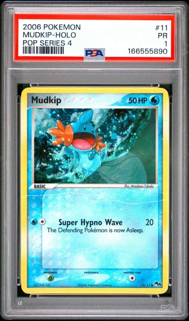 Mudkip