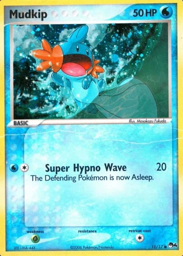 Holo