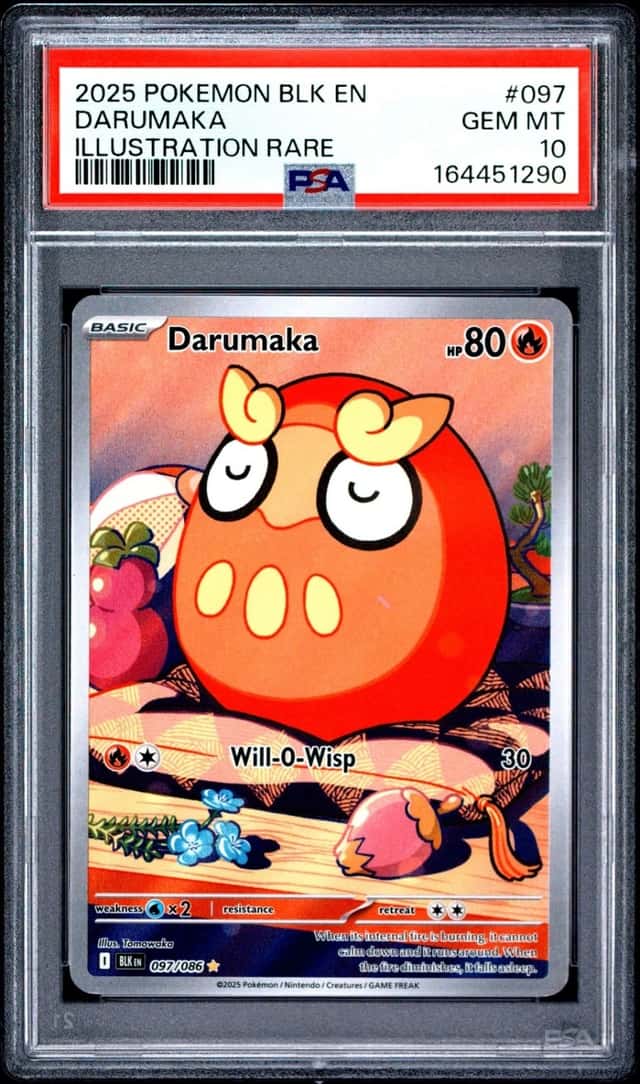 Darumaka