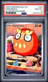 Darumaka