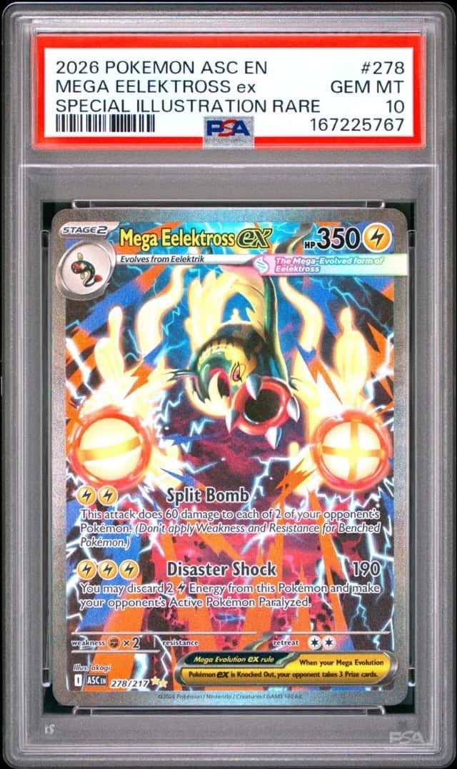MEGA EELEKTROSS ex