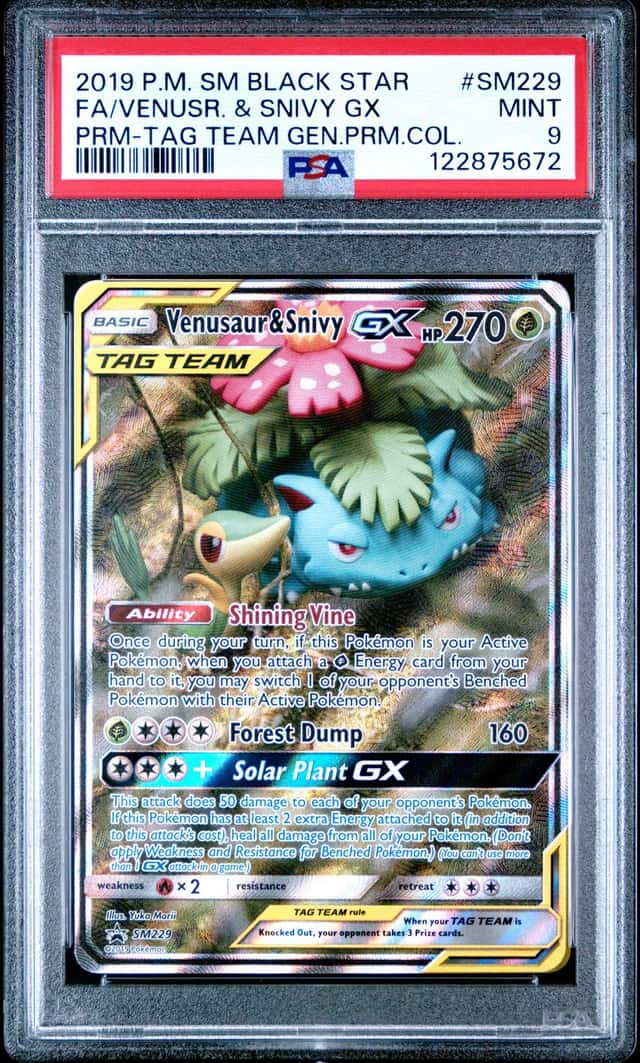 Venusaur & Snivy GX