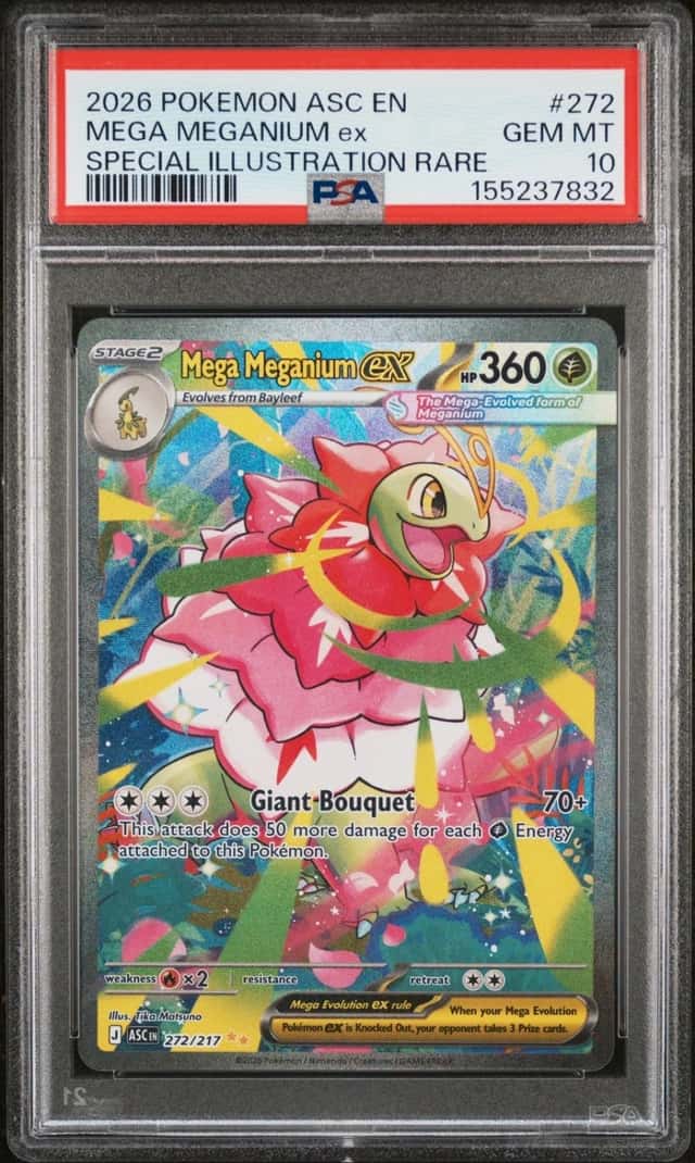 MEGA MEGANIUM ex
