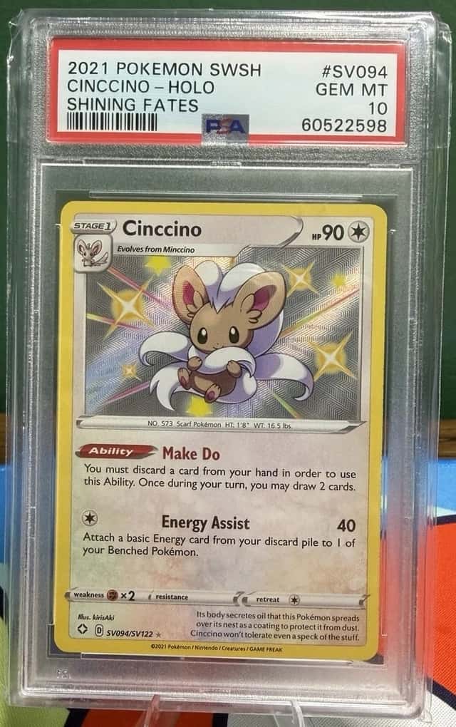 Cinccino