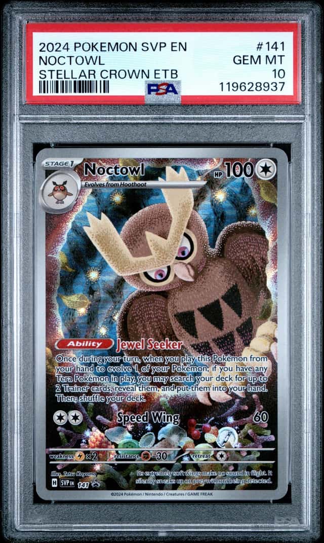 Noctowl