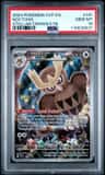 Noctowl