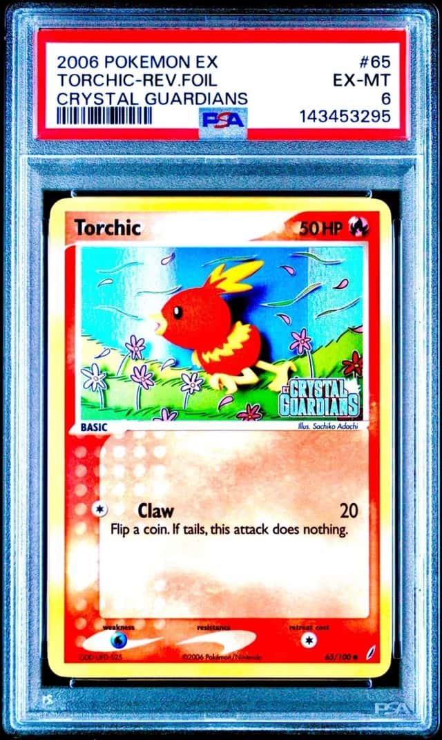 Torchic