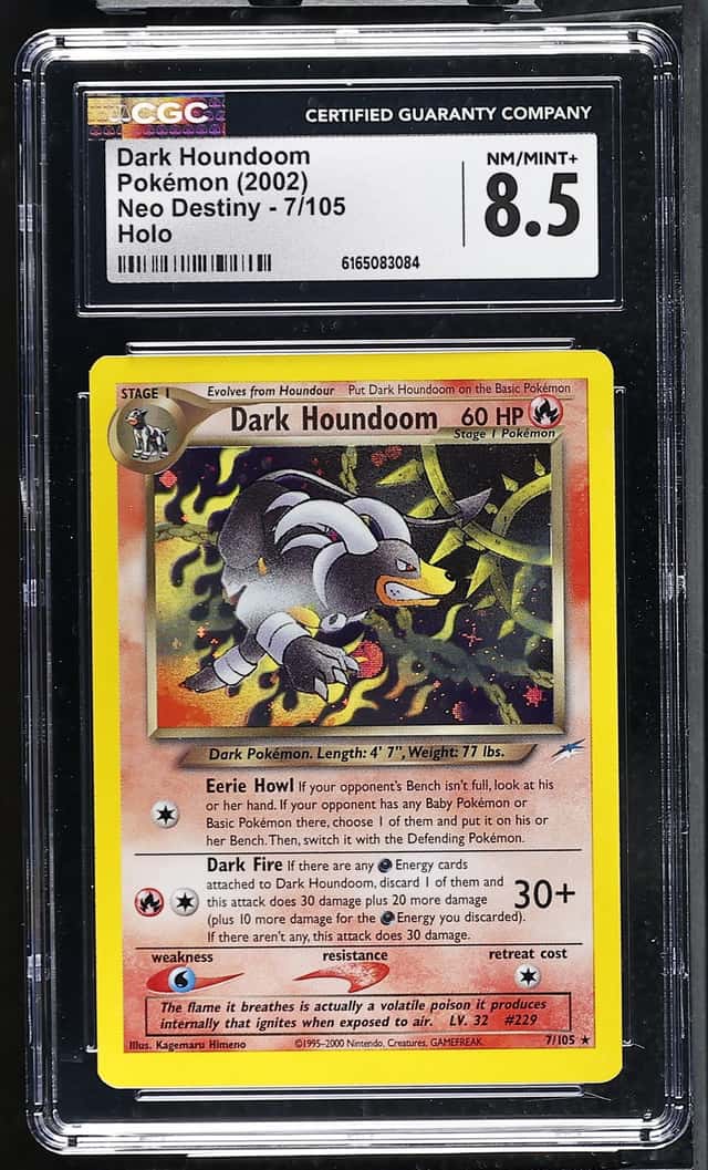 DARK HOUNDoom