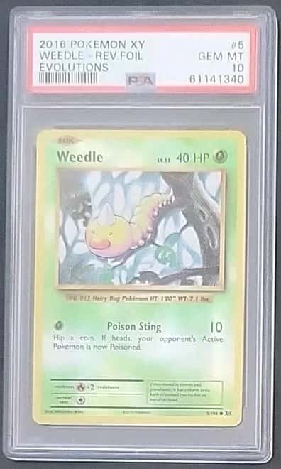 Weedle