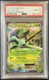 Sceptile Ex